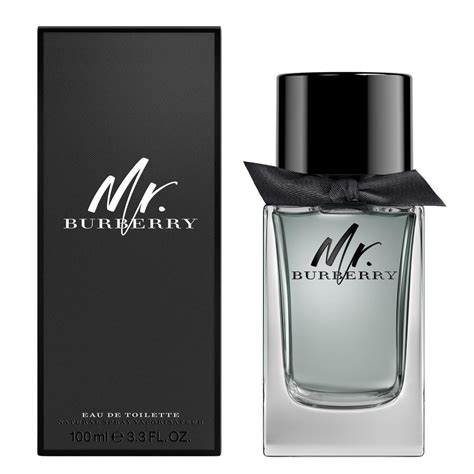 burberry mr burberry m 5.0 edt spr|mr burberry cologne.